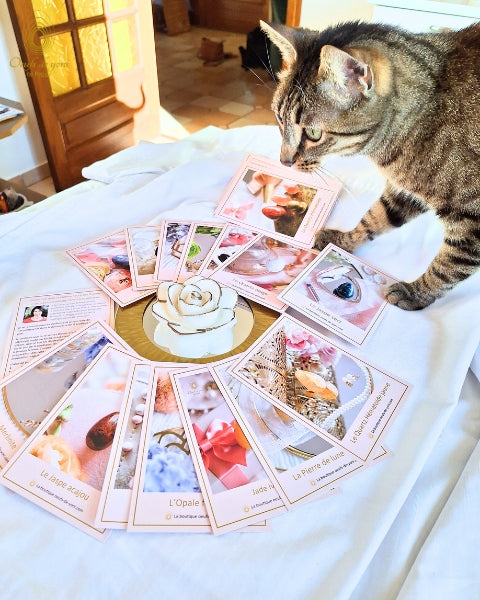 Coffret 40 cartes de collection - Edition limitée
